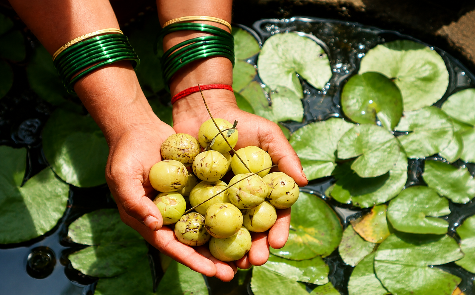 amla